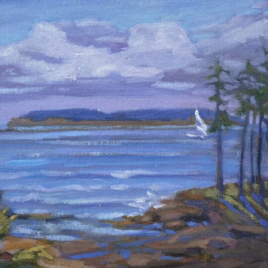 Schoodic Sail