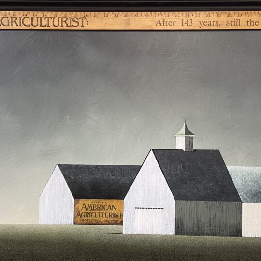 American Agriculturalist III