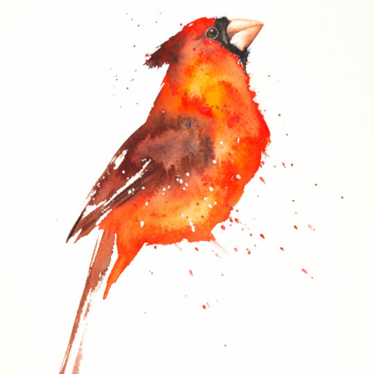 Cardinal V