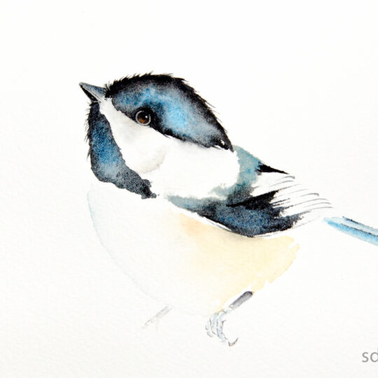 Chickadee II