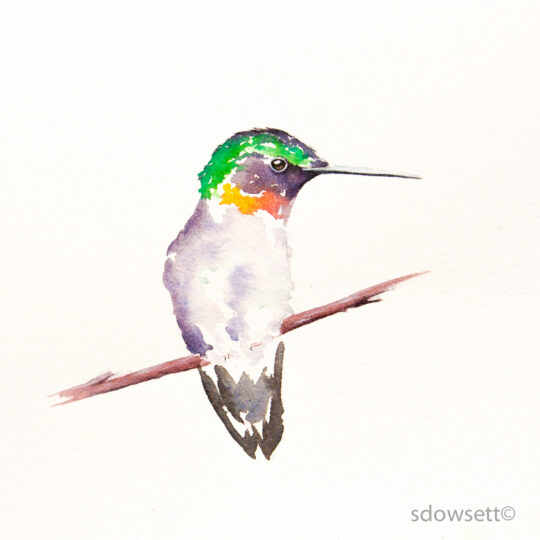 Hummingbird III