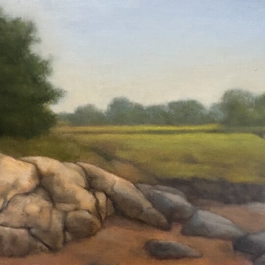 The Rocky Path