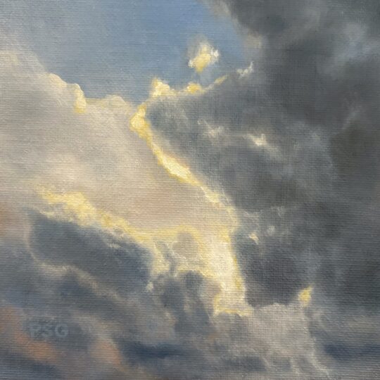 Unexpected Joy - SOLD