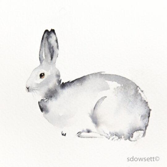 Winter Hare