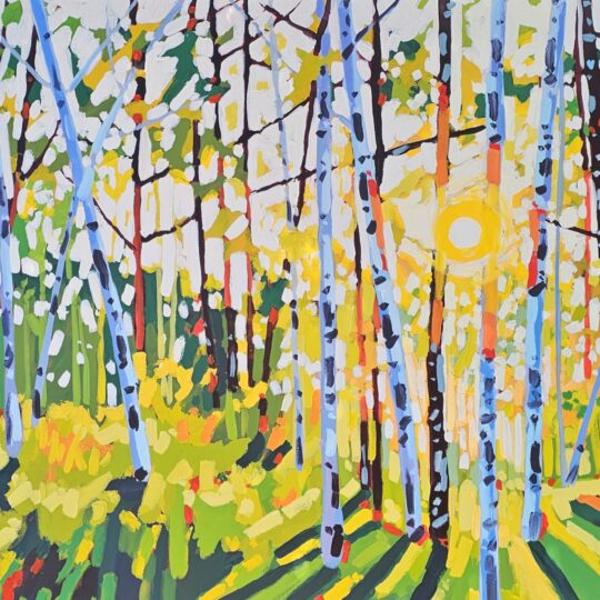 Sunburst Birch