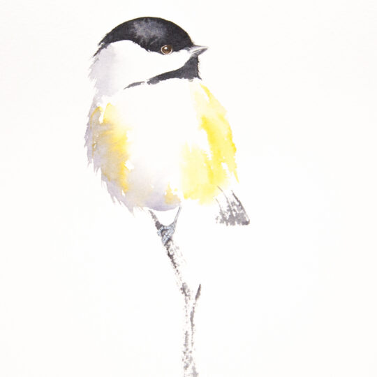Chickadee III