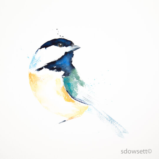 Chickadee IV