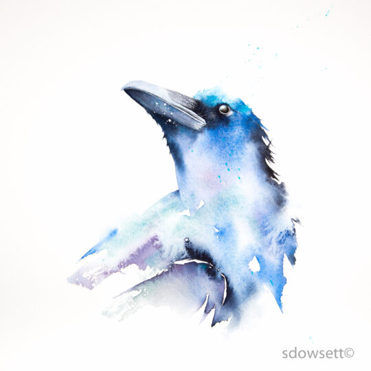 Corvid