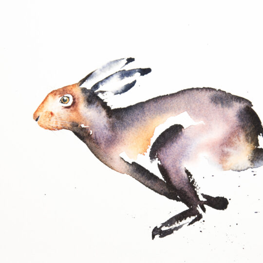 Hare on the Run II