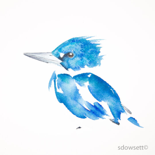 Kingfisher VII