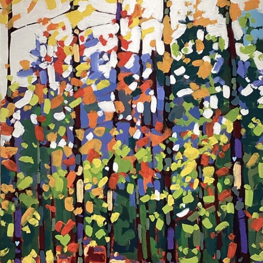 All The Colors of Light