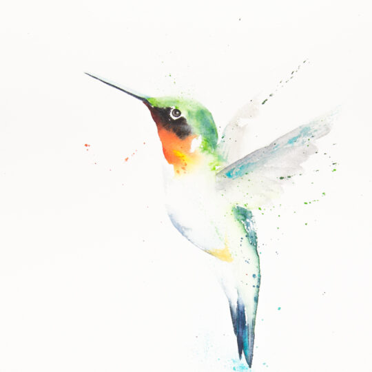 Hummingbird VI