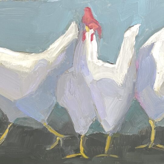 Just Clucking Around