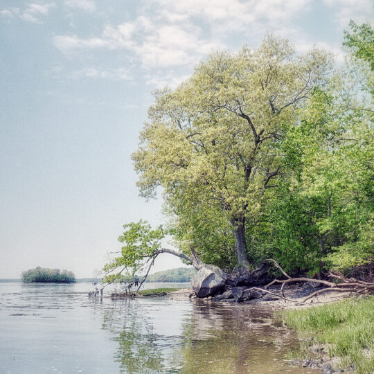 Along Adams Point