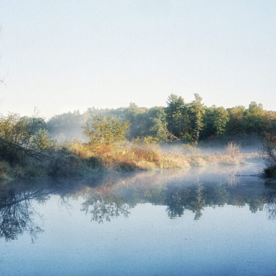 As the Mist Rises