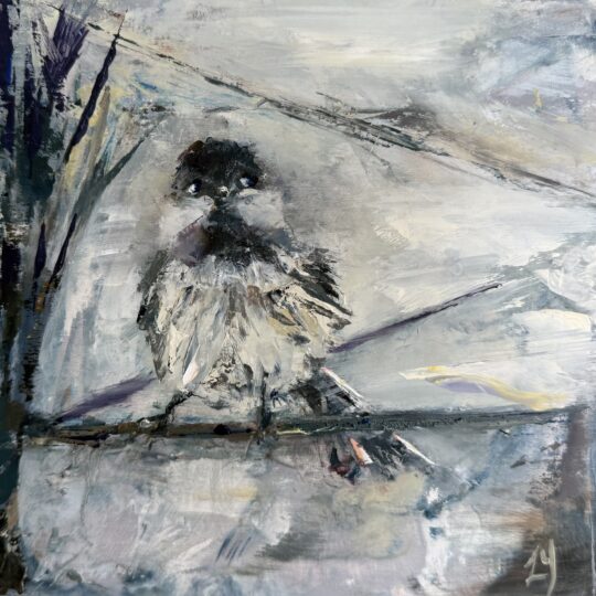 Chickadee