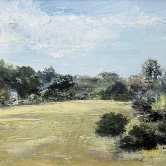 Field Study