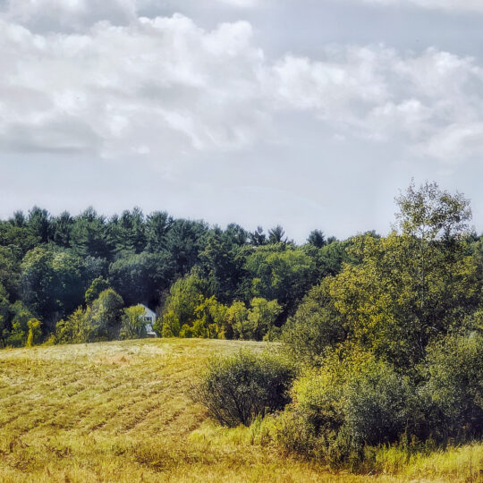 Hayed Fields