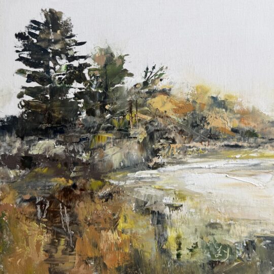 Morning Along The Creek