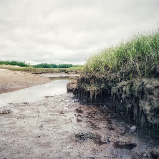 Mud Flats of Rye
