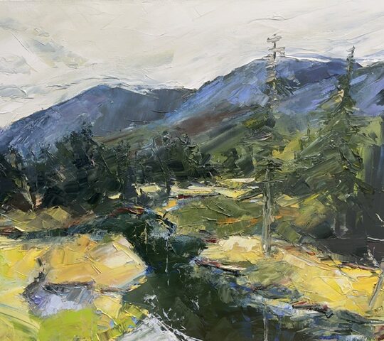 Pinkham Notch Wetlands, NH
