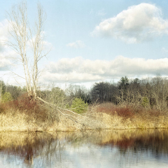 Quiet Stillness