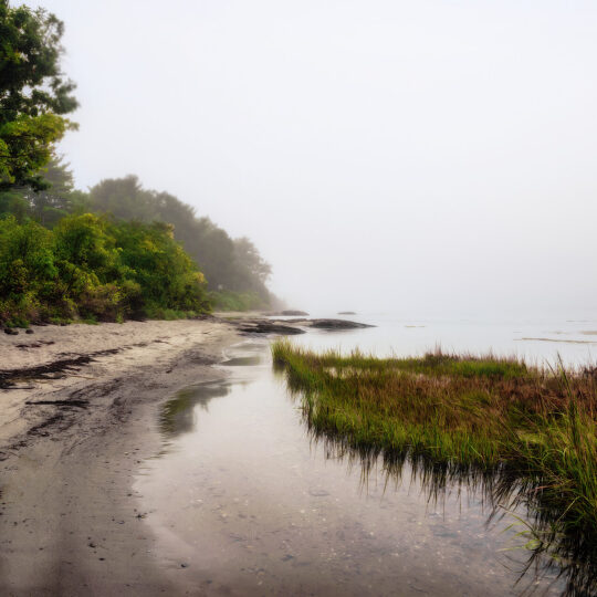Shoreline Symmetry
