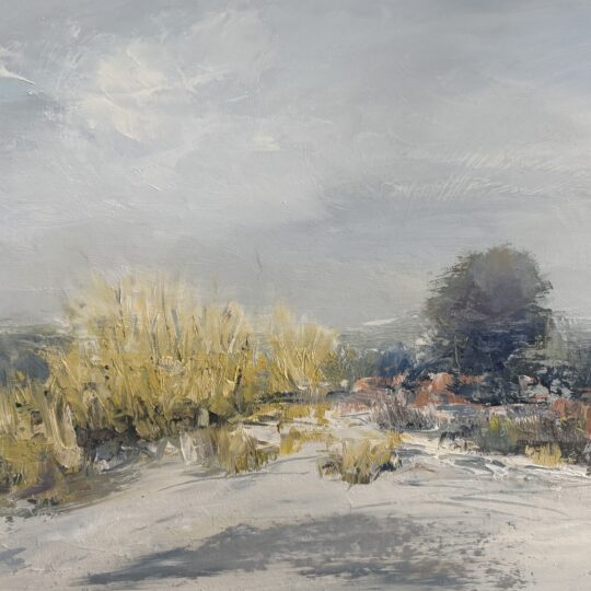 Snowy Heights