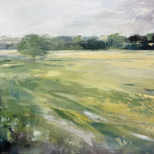 Spring Runoff