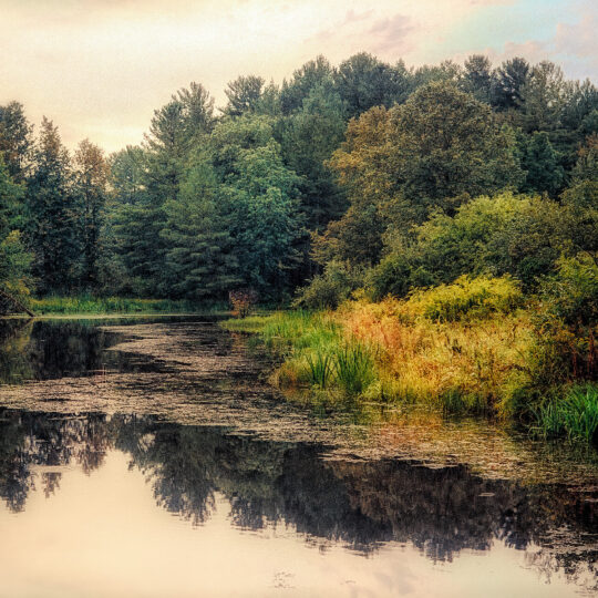 The Colors of Fall