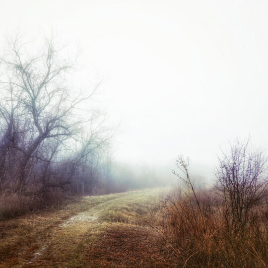 The Path Home