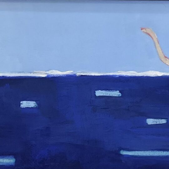 Swimmer with Dog 3