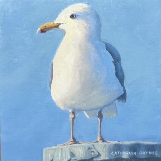 Harbor Patrol