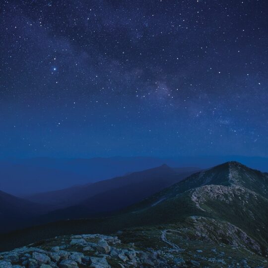 Galactic Ridgeline