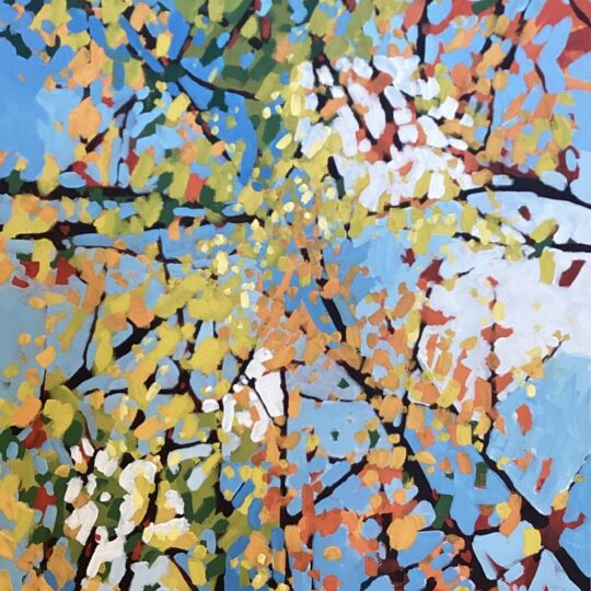 Blue Sky Brights