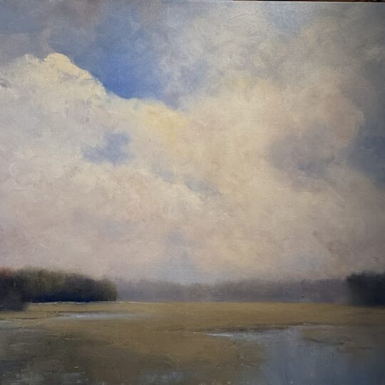 Marsh With Morning Mist