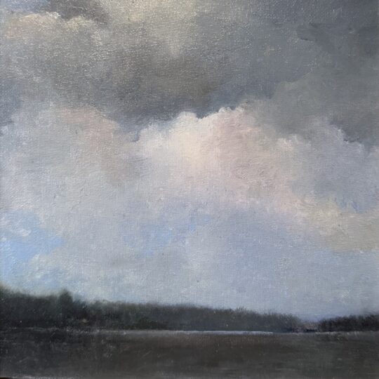 Pink Clouds Over the Marsh