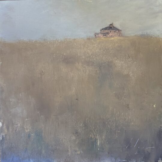 The Pink House (Plum Island)
