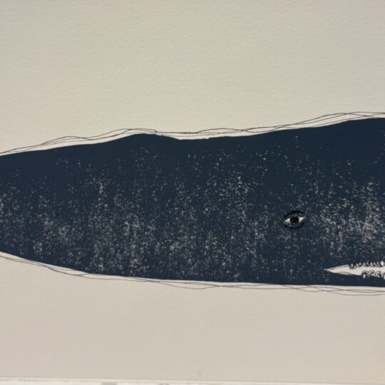 Whale