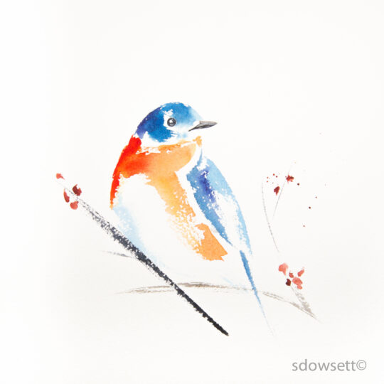 Bluebird in Winter