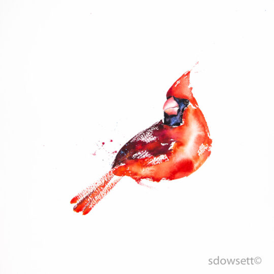 Cardinal VIII