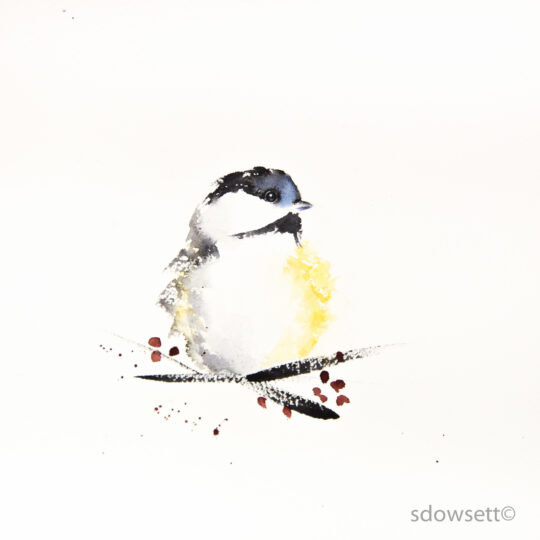 Chickadee in Winter