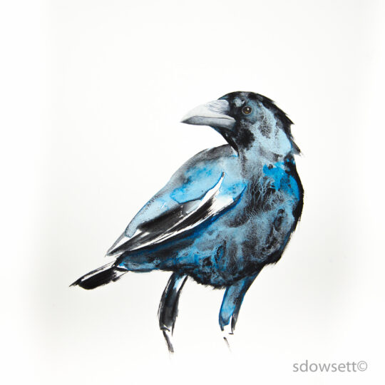 Corvid II