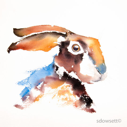 Hare in Color