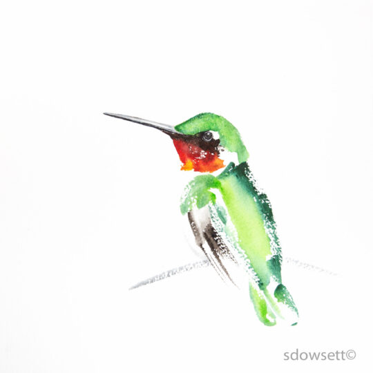 Hummingbird VII