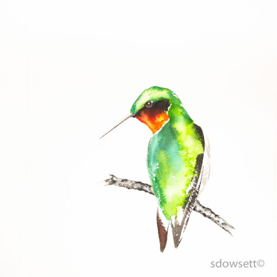 Ruby-Throated Hummingbird
