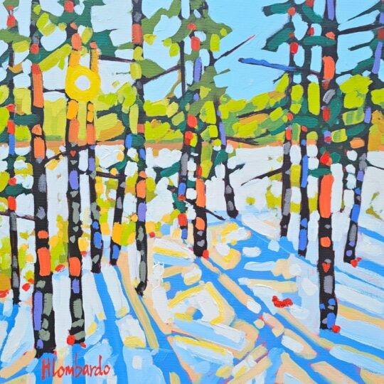 A Snowy Brightness