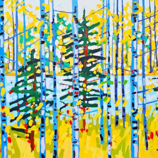 Birches and Balsams
